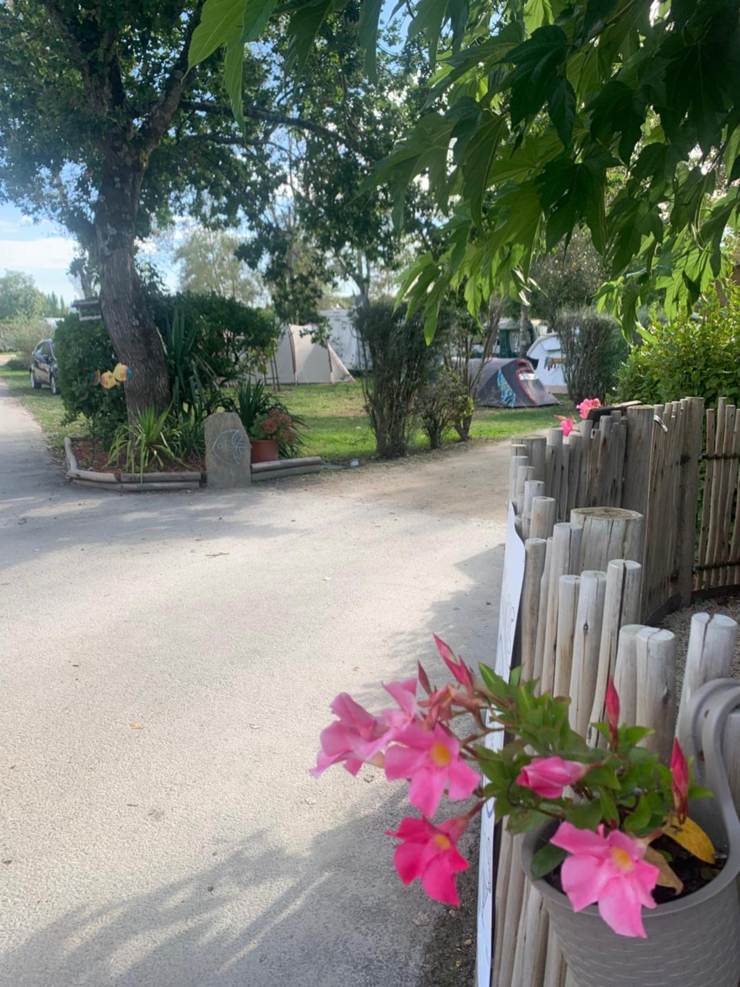 Camping Paradis Le Moulin Des Oies Belz Dış mekan fotoğraf